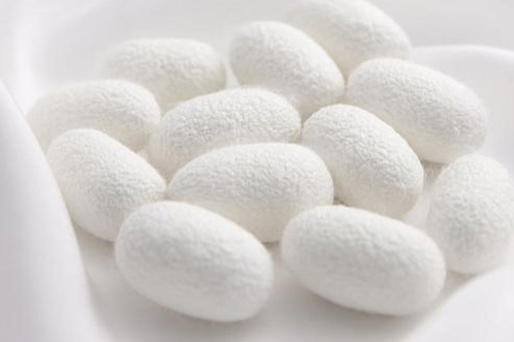 What-is-the-difference-between-100%-silk-and-mulberry-silk